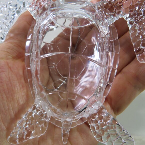 sea shells, acrylic sea turtle, TY Scoop pelican collection - Picture 2 of 13